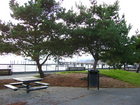 Waterfront Park seating area in the fall