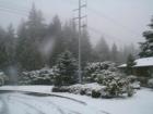 Yes Virginia, we can get snow in Everett.
