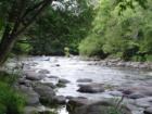 Bear Paw Outdoor Adventure Resort
      N3494 Highway 55, White Lake, WI 54491
      phone: 715-882-3502
      