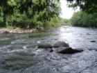 Bear Paw Outdoor Adventure Resort
      Awesome place, private campsites and very clean! 