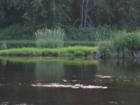 Wolf River