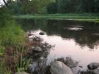 Wolf River, WI