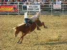 Arcadia Rodeo March 11,2006 