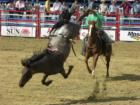 Arcadia All-Florida Championship Rodeo 2006, Arcadia, Florida 