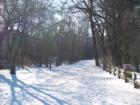 Illinois Prairie Path in Wheaton