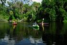 Kayaking the upper Manatee River.