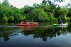 Kayaking the Manatee River