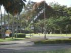 Mililani is known for its tree lined streets