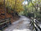 Beautiful Katy trail in Columbia, also called MKT