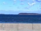 View of the Boston Harbor Islands from Adams Shore
