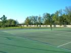 Tennis in Lexington Oaks