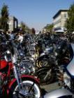 Oyster Run happens at the end of August.  Thousands of bikes and bikers gather to have a blast.