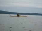kayaking across Western Bay to a remote island