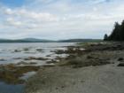 The island that we kayak around in Western Bay