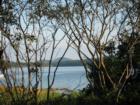 This is the view from our campsite at the KOA in Bar Harbor. I took this while standing next to our class A motor home