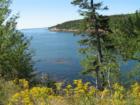 Sites from the Loop Road in Acadia National Park