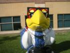 Jayhawks on Parade