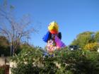 Jayhawks on Parade
