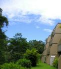 Northbrook at Melemanu (on the hill)