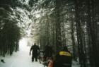 Part of some trails in the Rangely area of Maine.