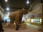 The Mammoth Site
