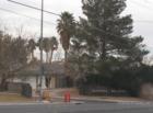Sandhill meadows in Las Vegas.