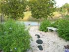 Florida style landscaping with a fake alligator 'peeking' up through the rocks at La Mancha.