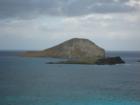 Rabbit Island
