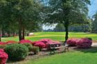 Pinehurst No. 2