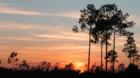 Fall Sunset In Daytona Beach