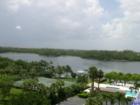 View of intracoastal waterway, preserves and groves from building located in Boca Raton. 