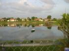 Relaxing view of glassy lake with mirrored images showing crytal clear.