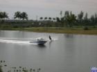 Ar117019389176391_l