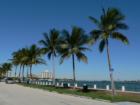 Miami Shores Boardwalk - it's a bay front park where residents exercise, visit or just relax.
