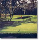 Indigo Run Golden Bear Golf Course