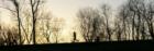 Runner on Mississippi River Levee