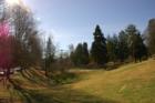 Community Green Space. The Park in Montford. Photo courtesy of J.T. Narrin, Photographer for the Firm.