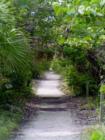 Barefoot Beach calm trail, Florida
