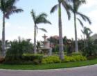 Laguna Lakes, Lee County, SW Fort Myers,FL