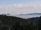 Morning Mist View
