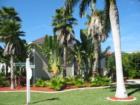 Palm Isles, majestic palms, Fort Myers Beach, Fl