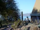 Another Lake View