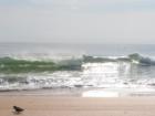 Sun Kissed Surf