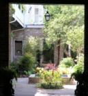 New Orleans French Quartere is famous for its small gardens and courtyards behind the gates. Rarely does it freeze here and we our share of the rain. Plants and Courtyards are great.