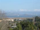 Richmond/San Rafael Bridge and Ferry from Larkspur Landing Terminal as seen from Christmas Tree Hill.