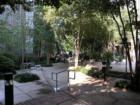 Cotton Mill Condos Courtyyard is 25,000 sq. ft. of plants, senic paths, and quite areas in the middle of the city. The complex located at 920 Poeyfarre has been a fovorite place to begin their Warehouse District experience.     