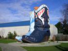 Georgetown "Boots" of "Hats and Boots" in Oxbow Park