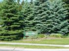 Grove Bel is located in the lovely community of Sylvania, Ohio. We do not lack beautiful trees here. Winding streets, call this home.