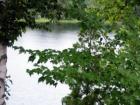 Conroy Lake In Monticello!