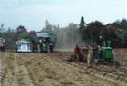 Dusty But Profitable Way For Kids To Help Farmers And Make Some Money For Those Essentials!